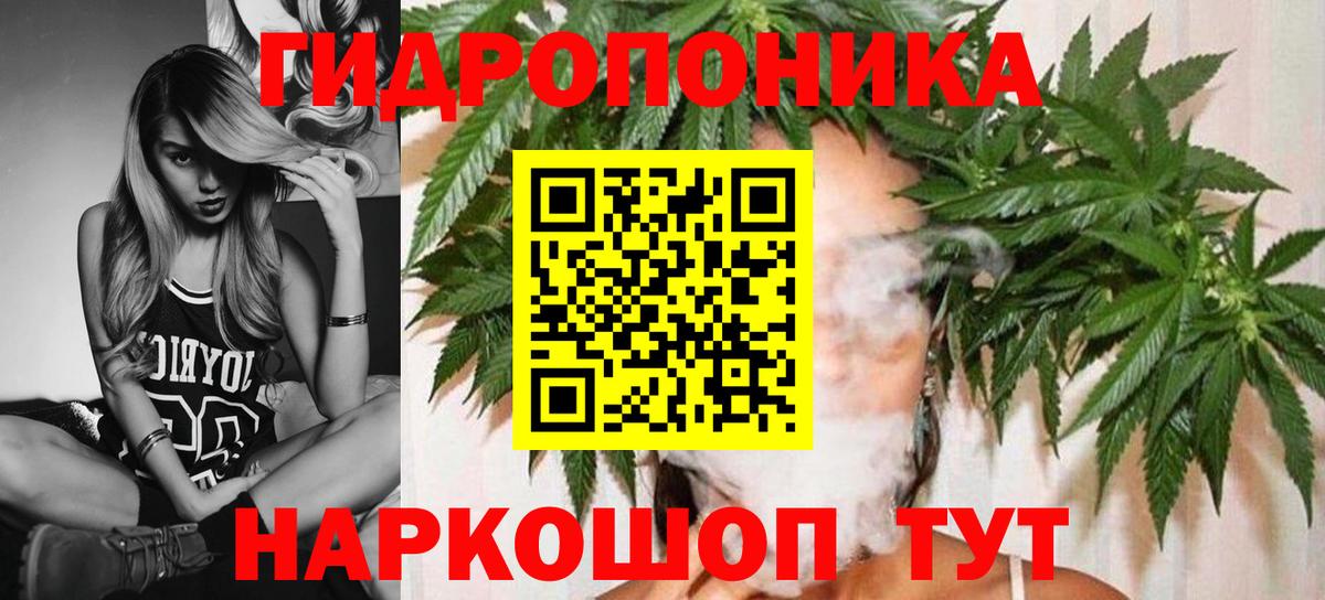Канабис сатива  Вход с VPN  Шишки марихуана SATIVA & INDICA  Бошки Шишки индика  Щёкино 